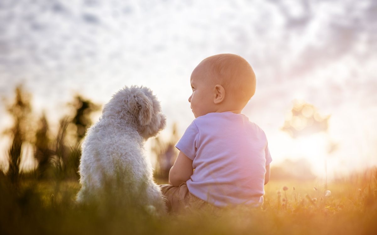 Tener un perro antes de los 12 años reduce el riesgo de esquizofrenia.