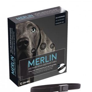 CollarMerlin
