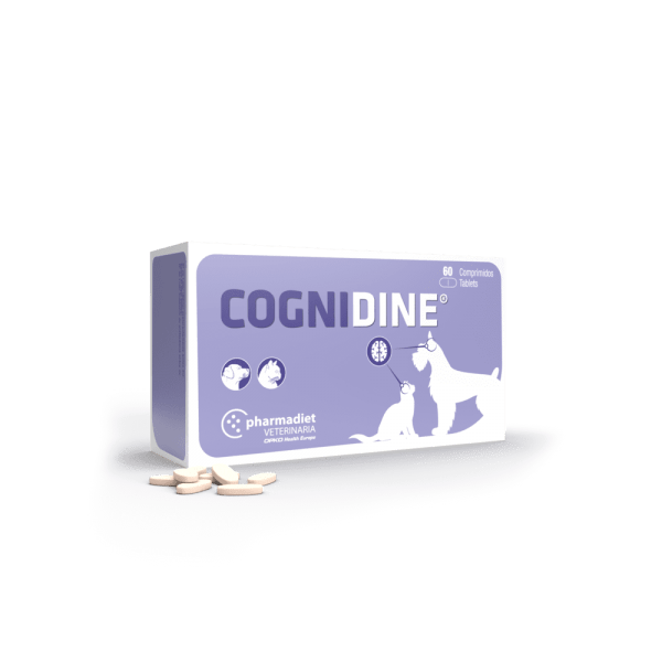 cognidine cognidine