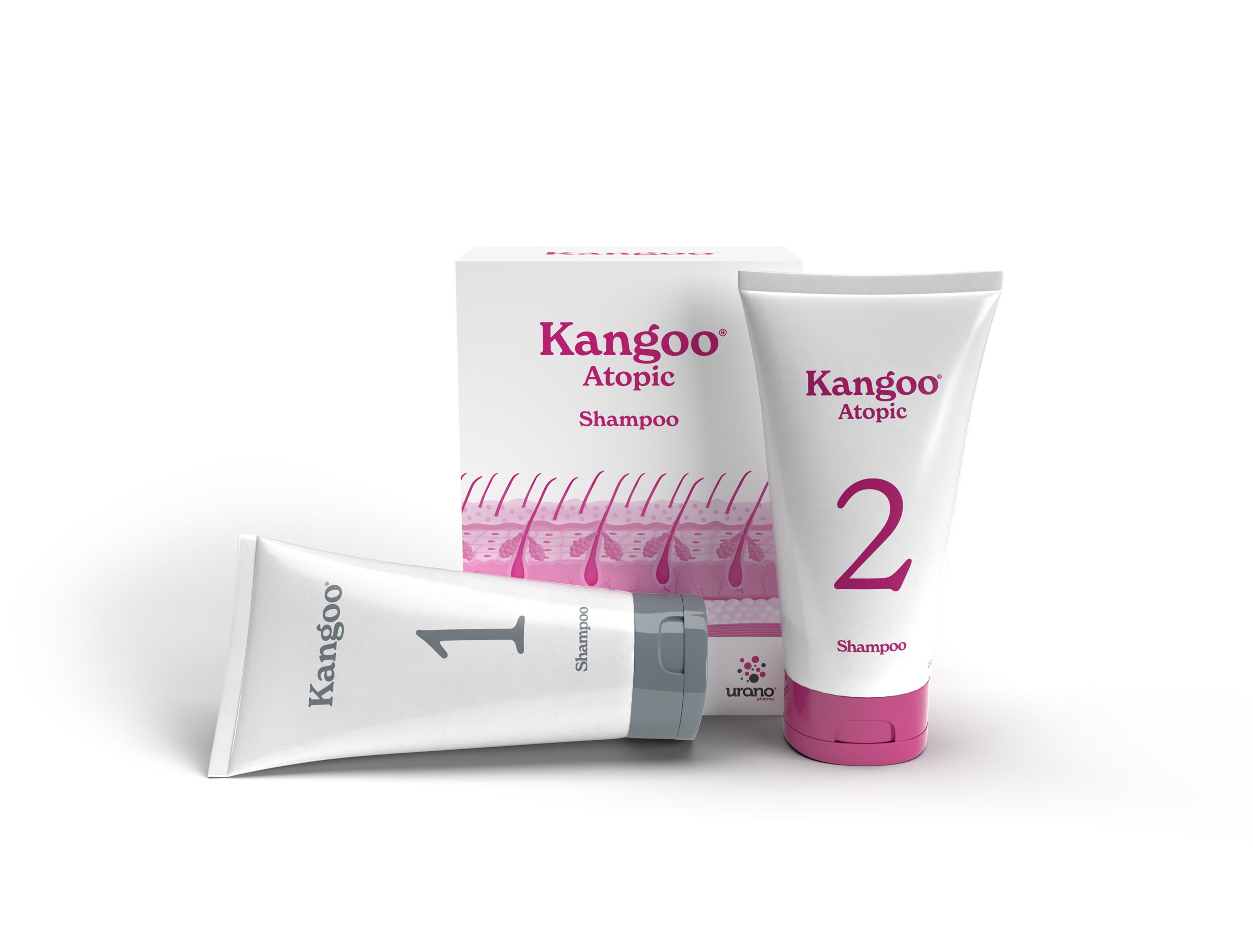 608-caja-kangoo-atopic